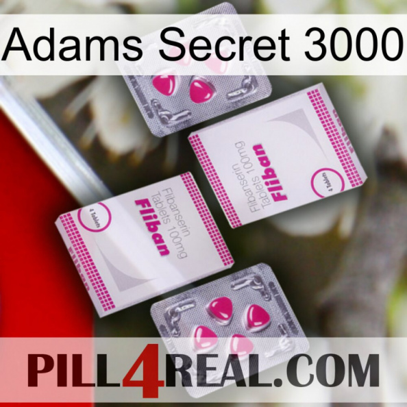 Adams Secret 3000 33.jpg